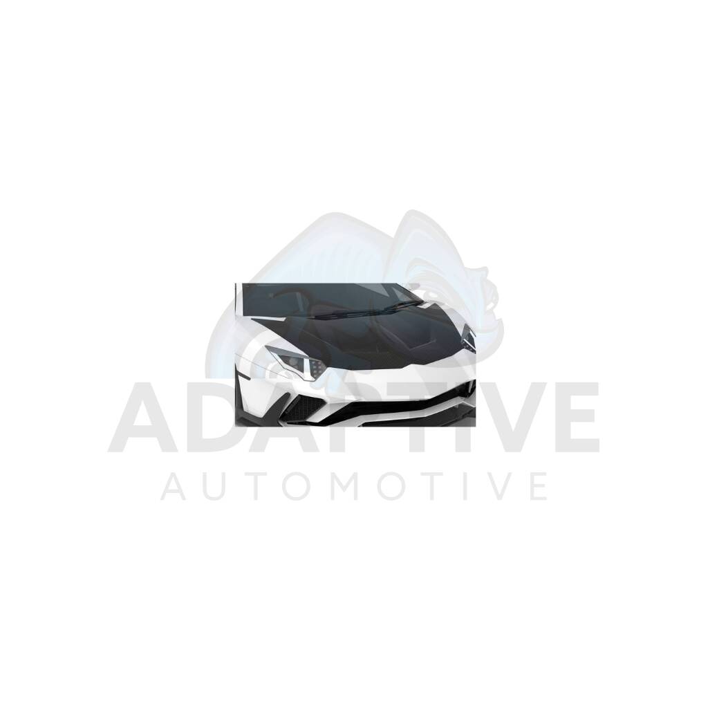 Carbon race hood