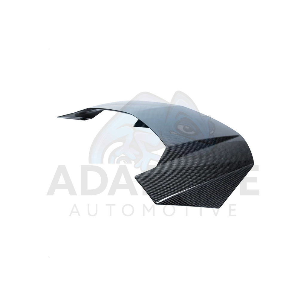 Rear Spoiler Assembly in Visual Carbon Fibre