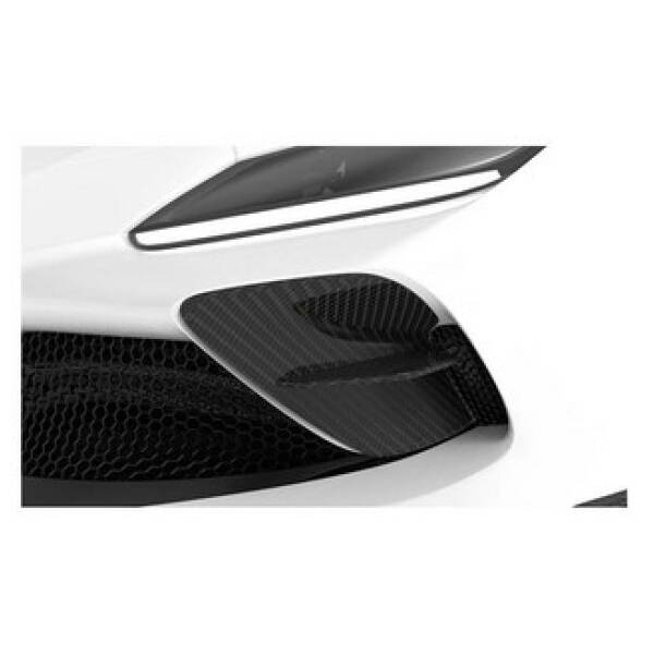 Carbon front bumper inserts