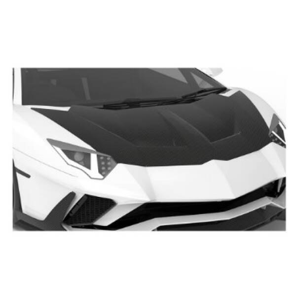 Carbon race hood